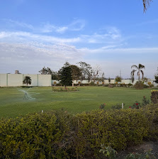 Green area at the Shree Hari Spintex mill in Maur Mandi